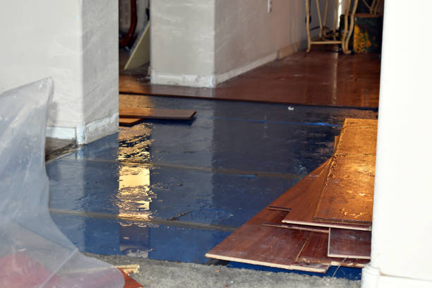 Professional Water Extraction technician working in Windom, TX